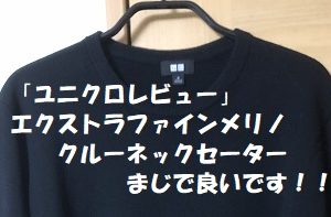 洗濯できるニット「エクストラファインメリノセーター」安すぎる！