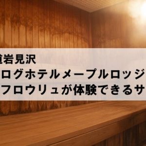 「サウナ」北海道で本格ロウリュが楽しめるログホテル メープルロッジ